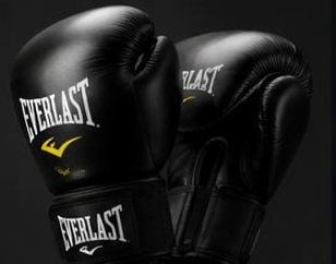 Luva de boxe e muay thai Everlast
